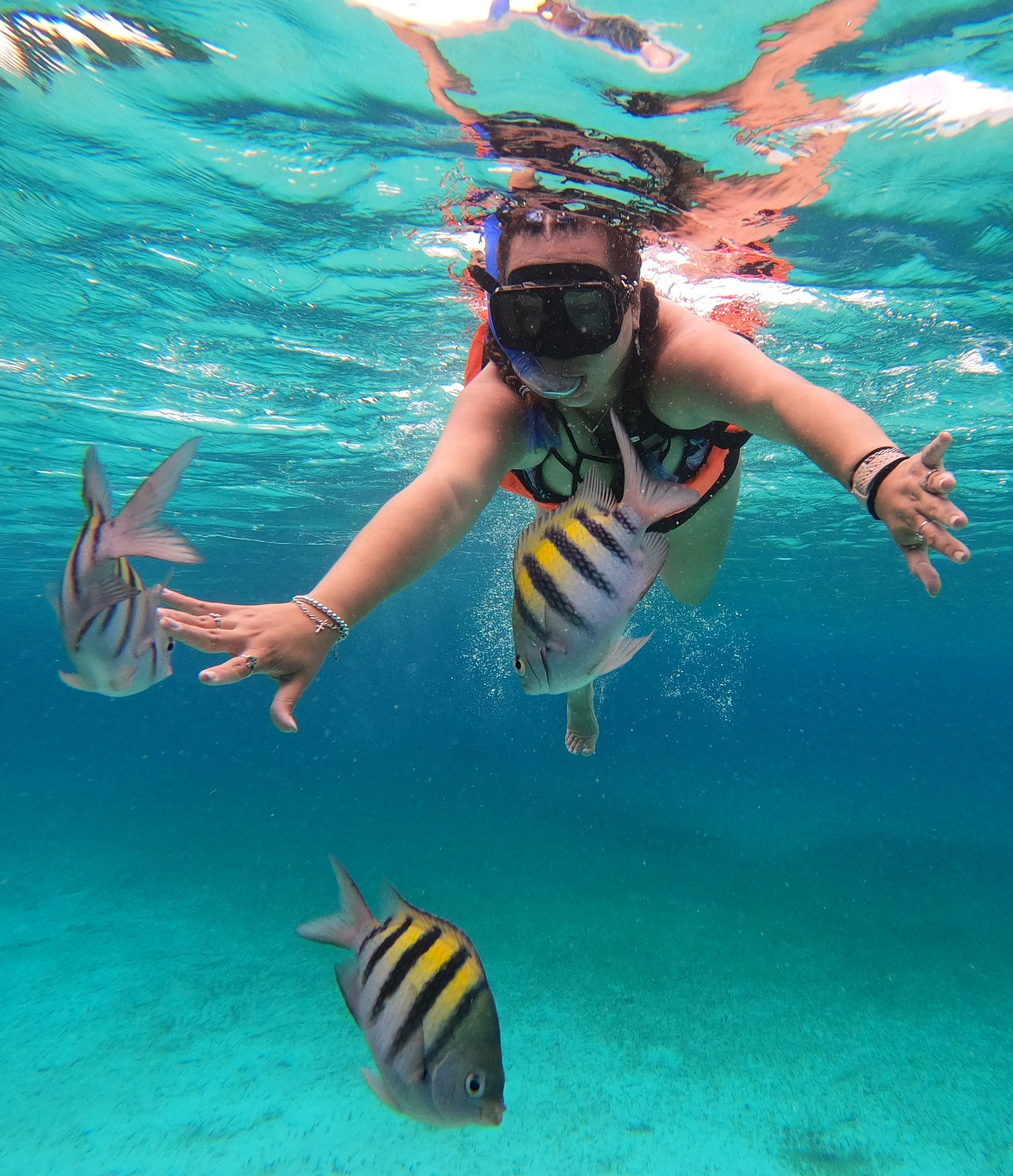 Island Hopping